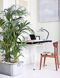 article image - 
